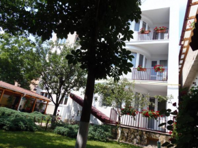  Villa D'Hollande  Брашов